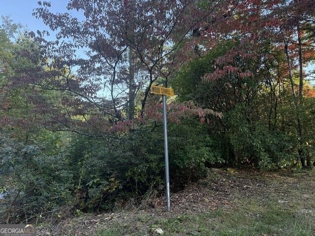 0 Wood Sorrel Lane Property Photo 13