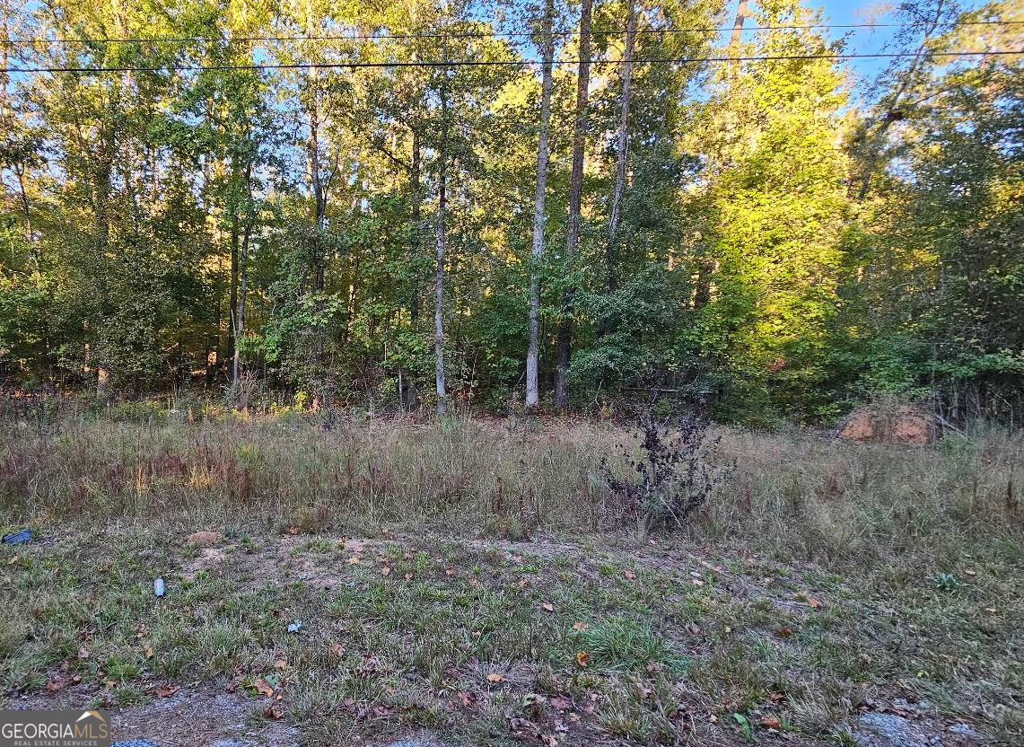 6 Bear Creek Marina Road Property Photo 1