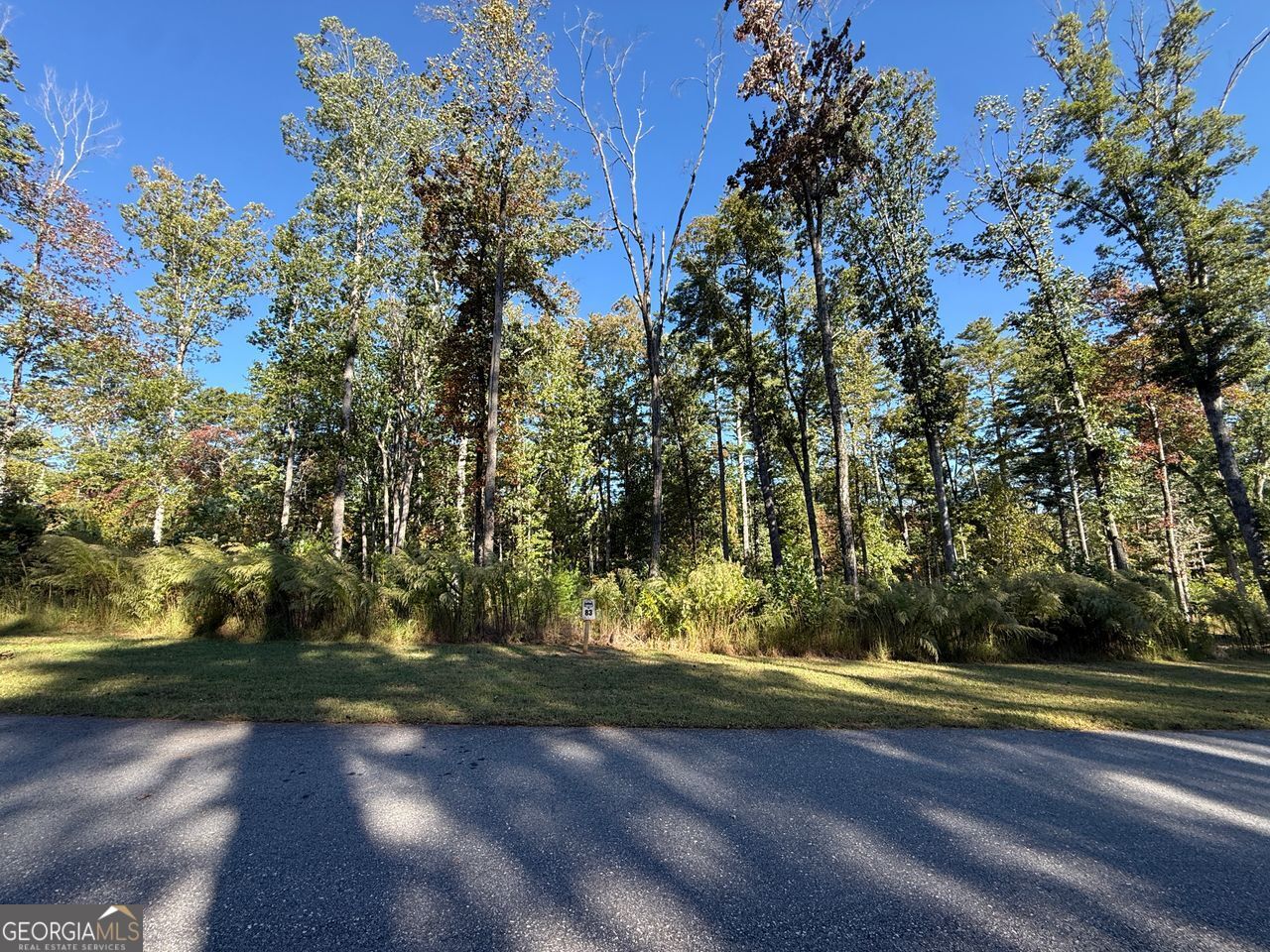 83 Leisure Mtn Trail Property Photo 3