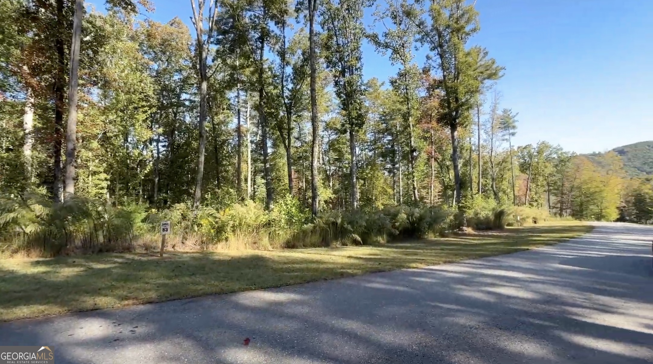 83 Leisure Mtn Trail Property Photo 6