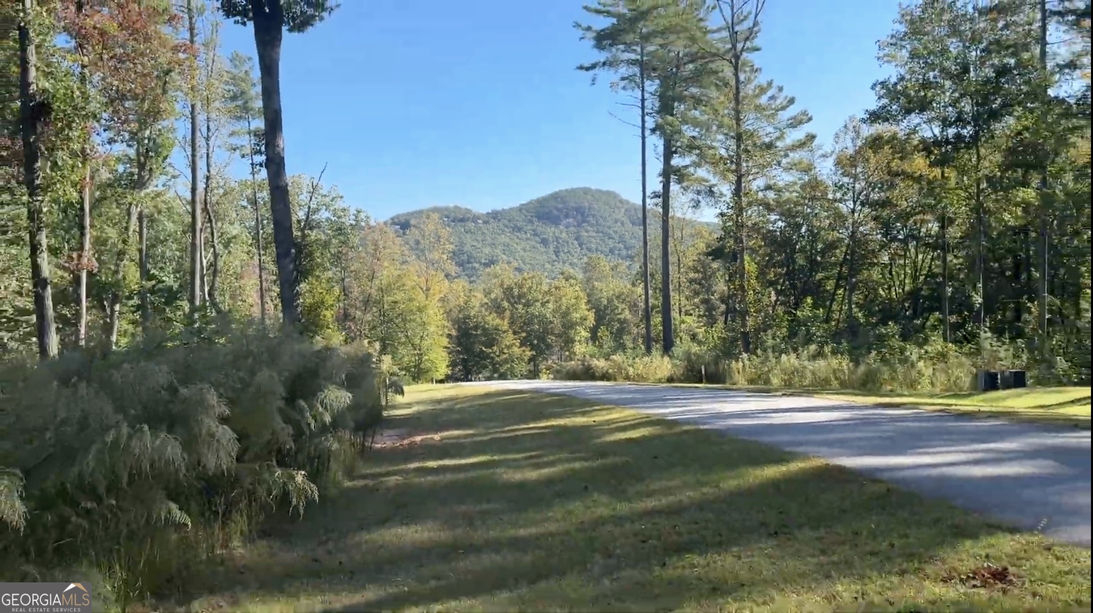 83 Leisure Mtn Trail Property Photo 13