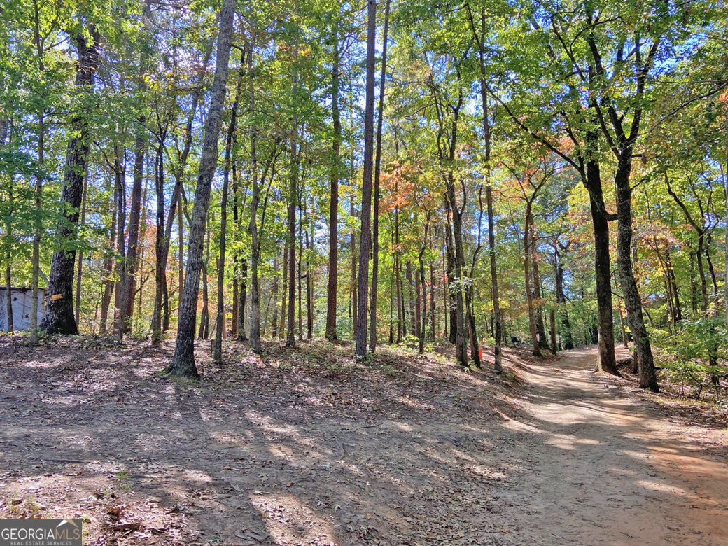 962 Winters Mountain Road Property Photo 1