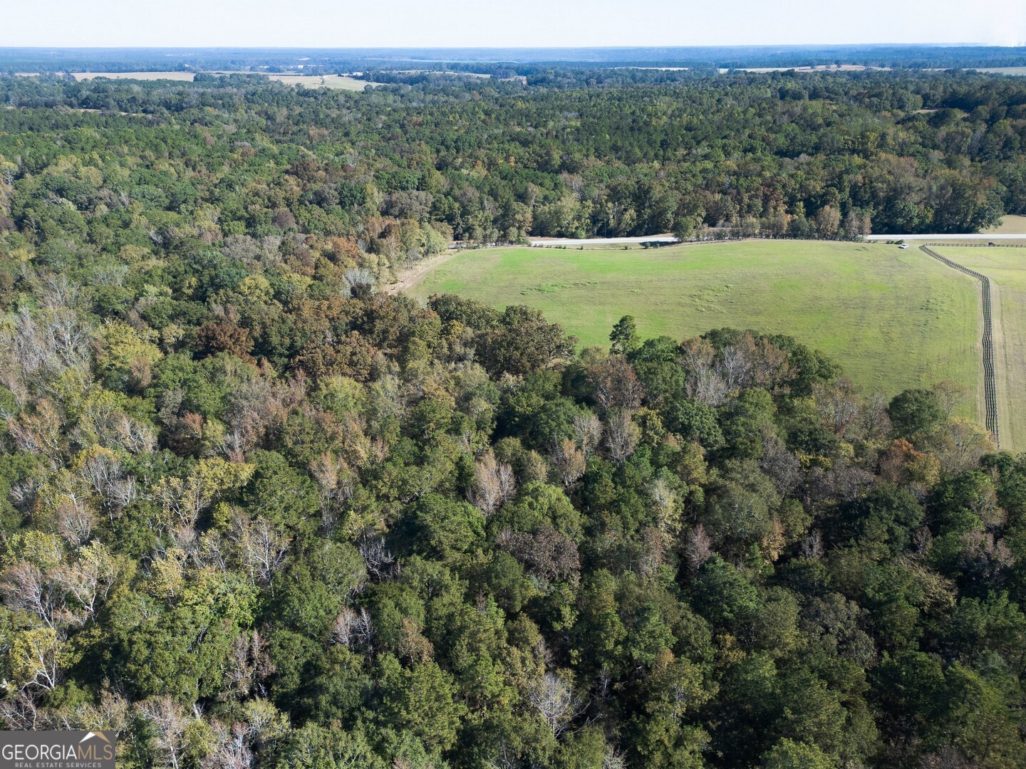0 Ga Highway 142 # B Property Photo 2