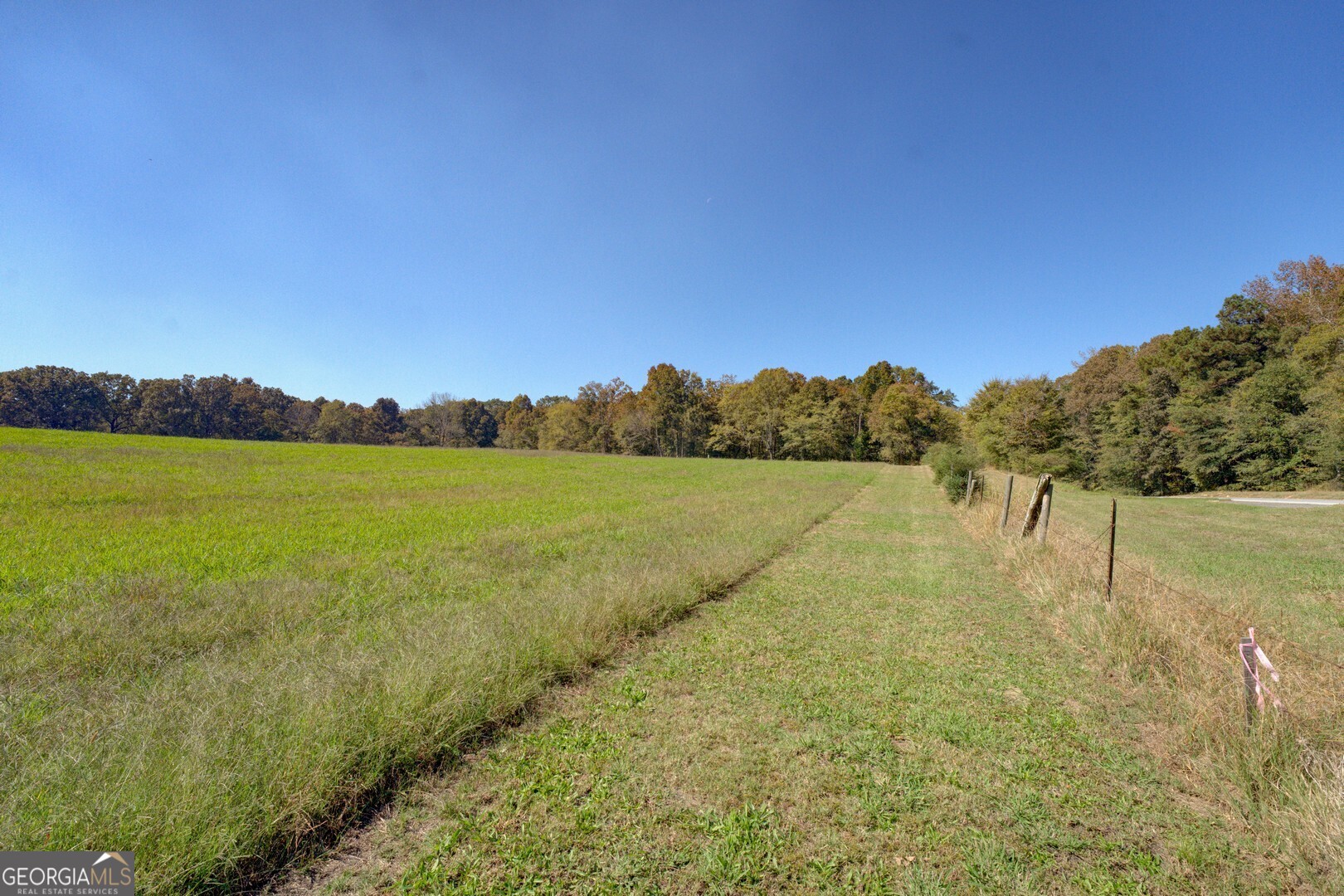0 Ga Highway 142 # B Property Photo 6