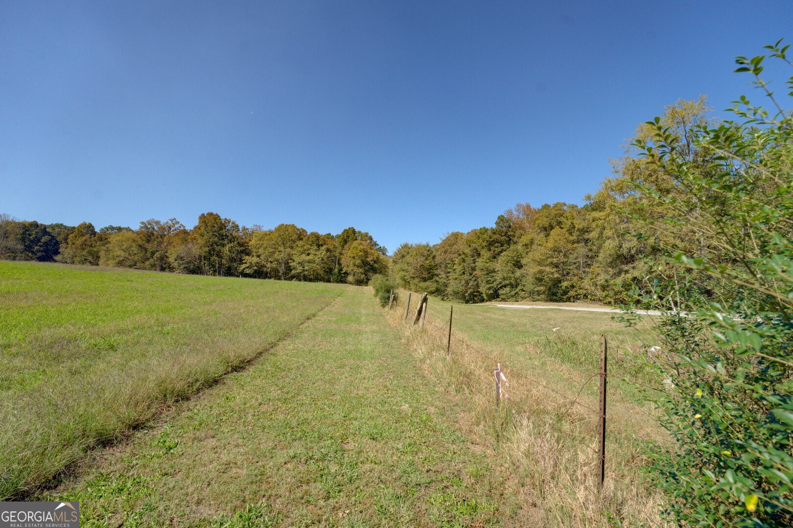 0 Ga Highway 142 # B Property Photo 8