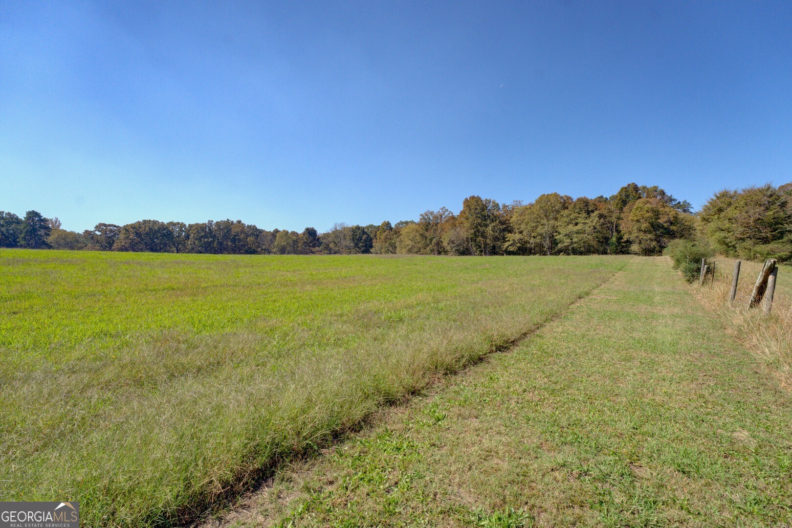0 Ga Highway 142 # B Property Photo 9