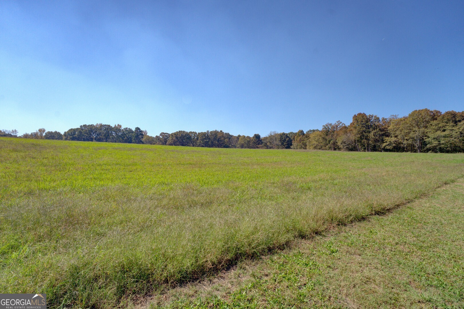 0 Ga Highway 142 # B Property Photo 10