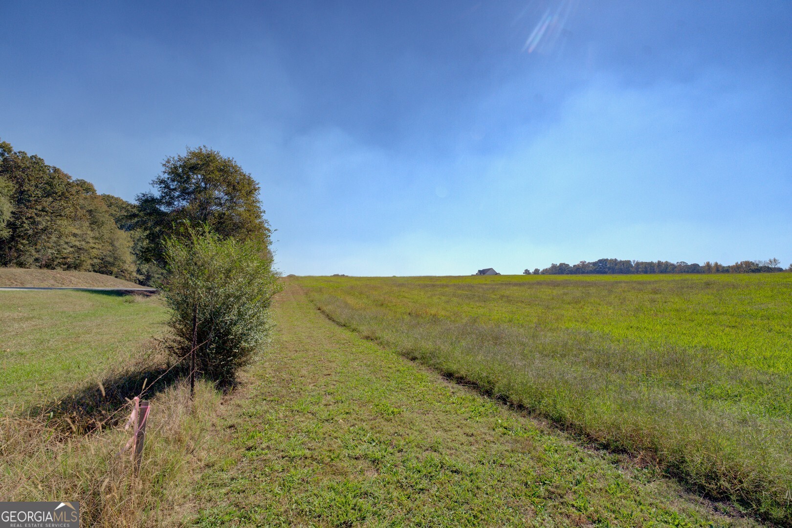 0 Ga Highway 142 # B Property Photo 11
