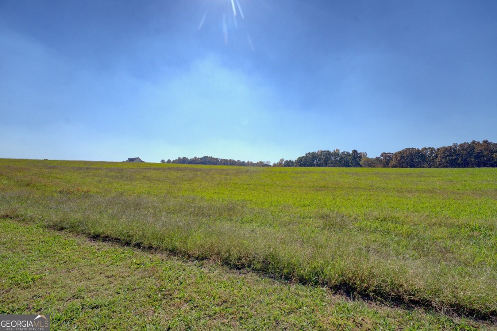 0 Ga Highway 142 # B Property Photo 12