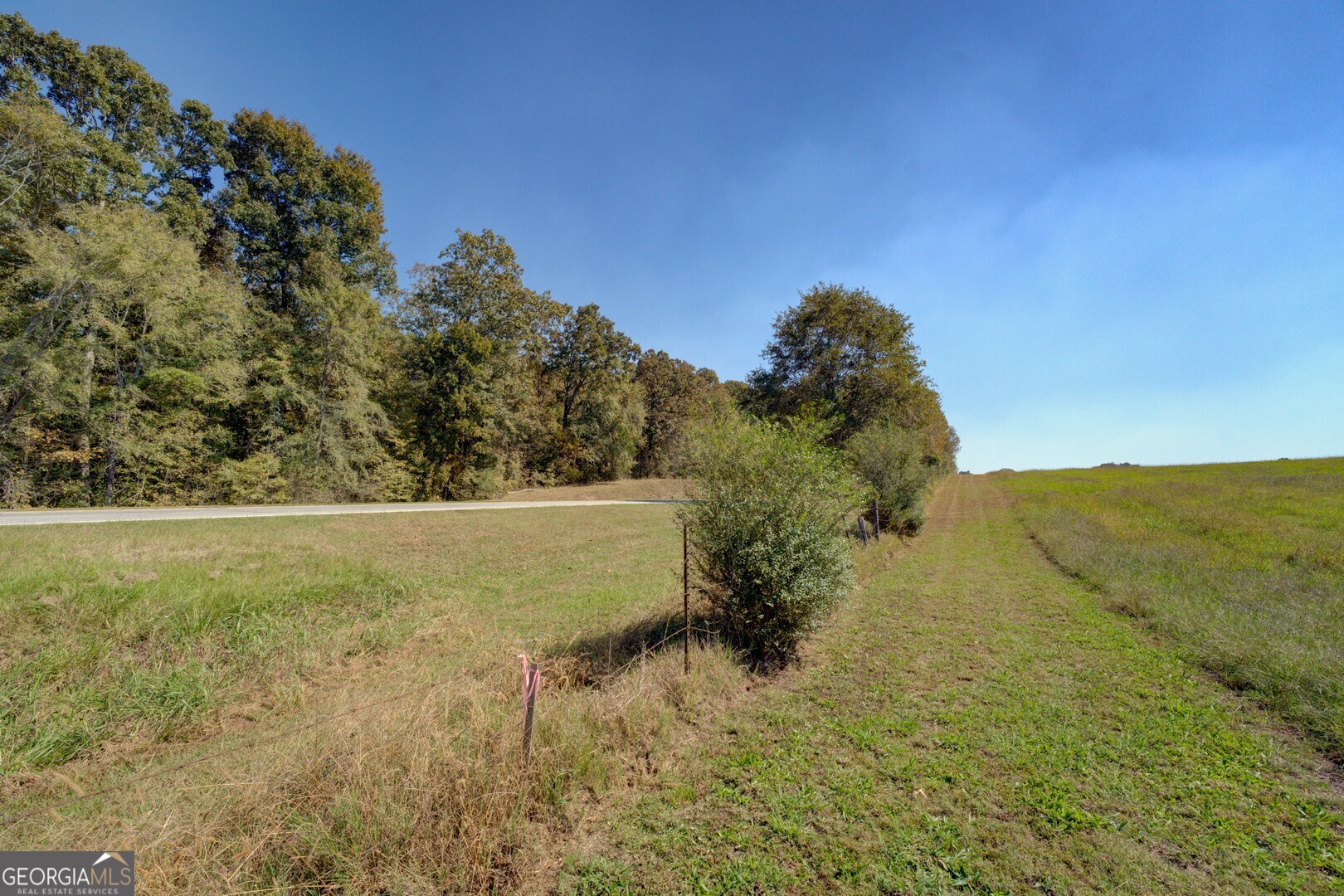 0 Ga Highway 142 # B Property Photo 13