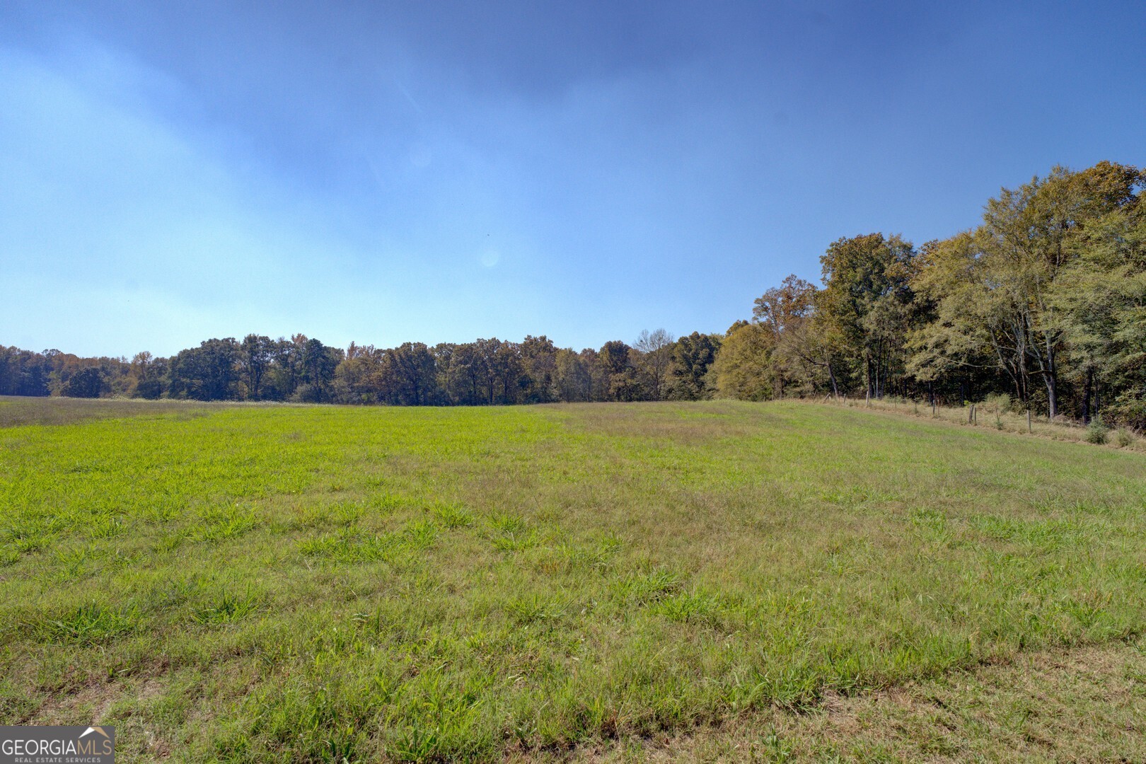 0 Ga Highway 142 # B Property Photo 15