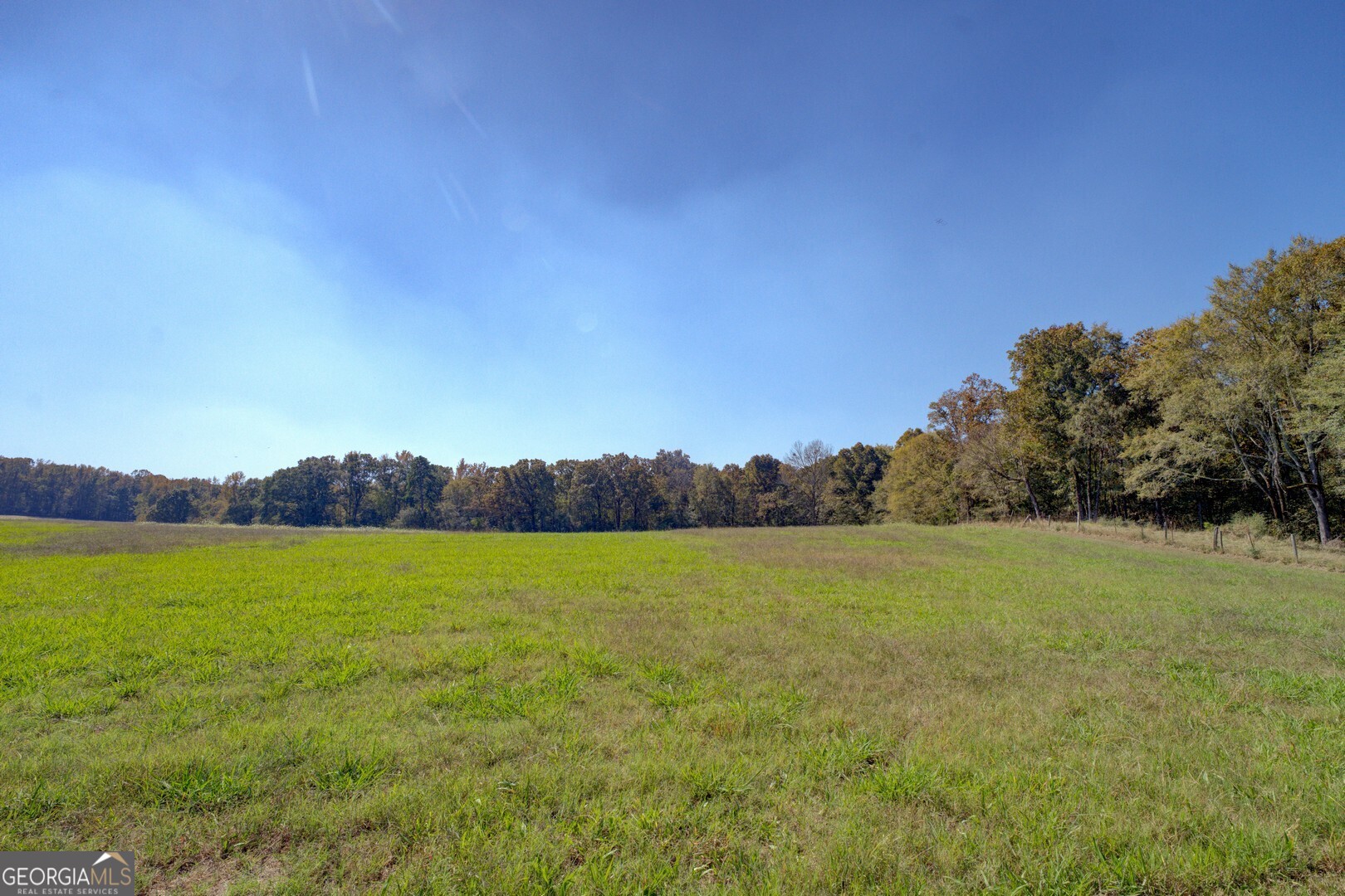 0 Ga Highway 142 # B Property Photo 16