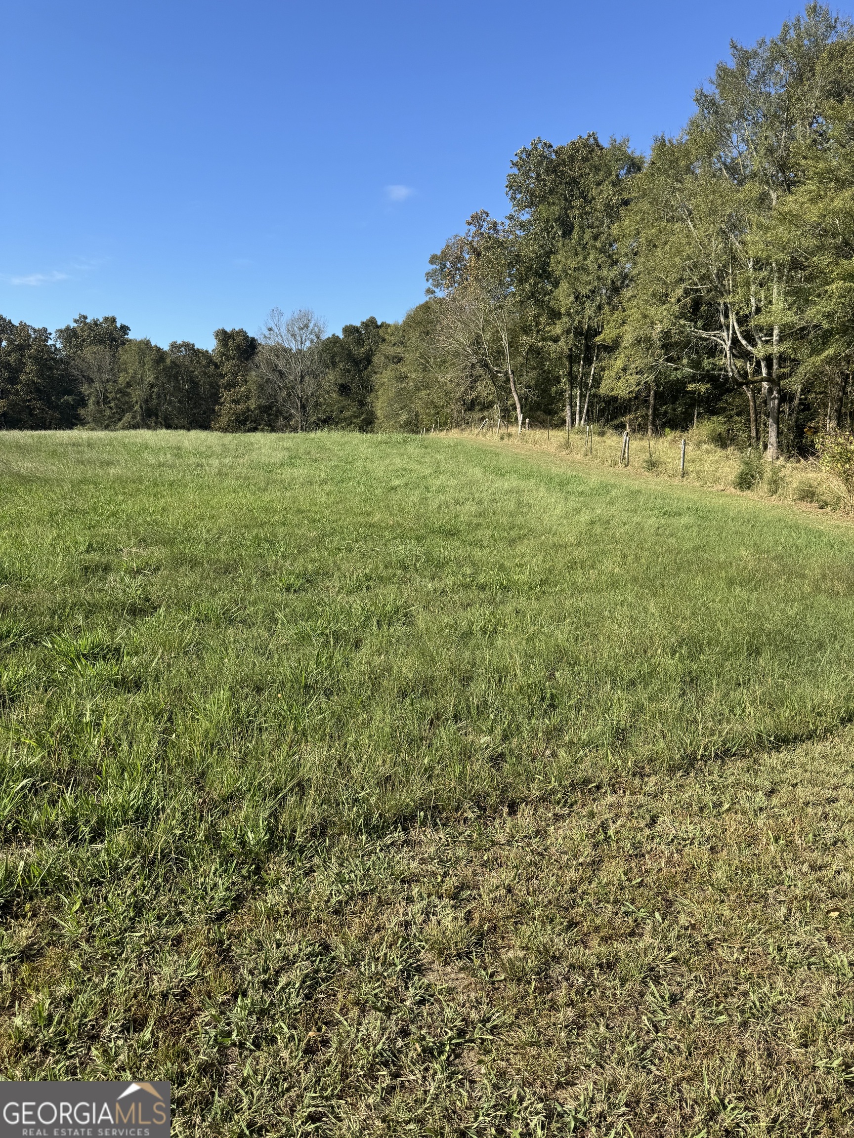 0 Ga Highway 142 # B Property Photo 19