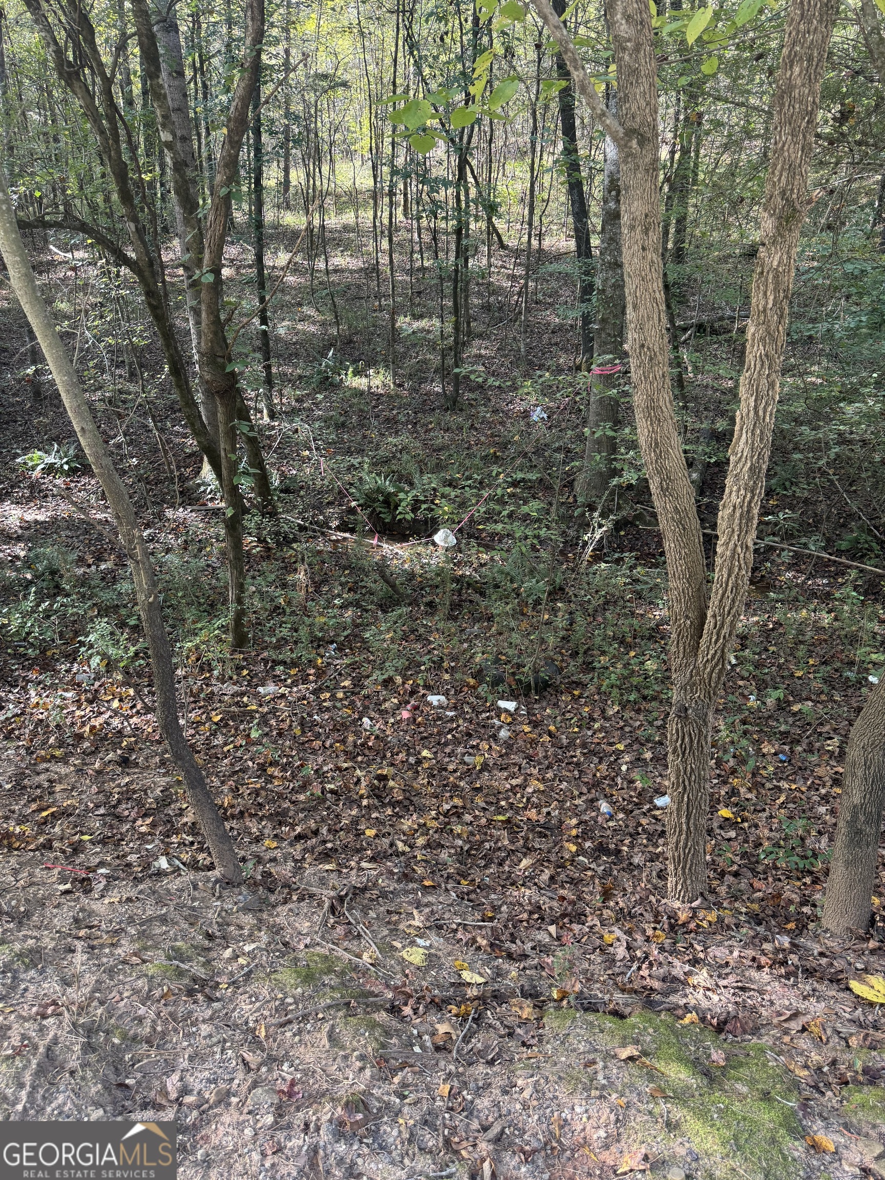 0 Ga Highway 142 # B Property Photo 20