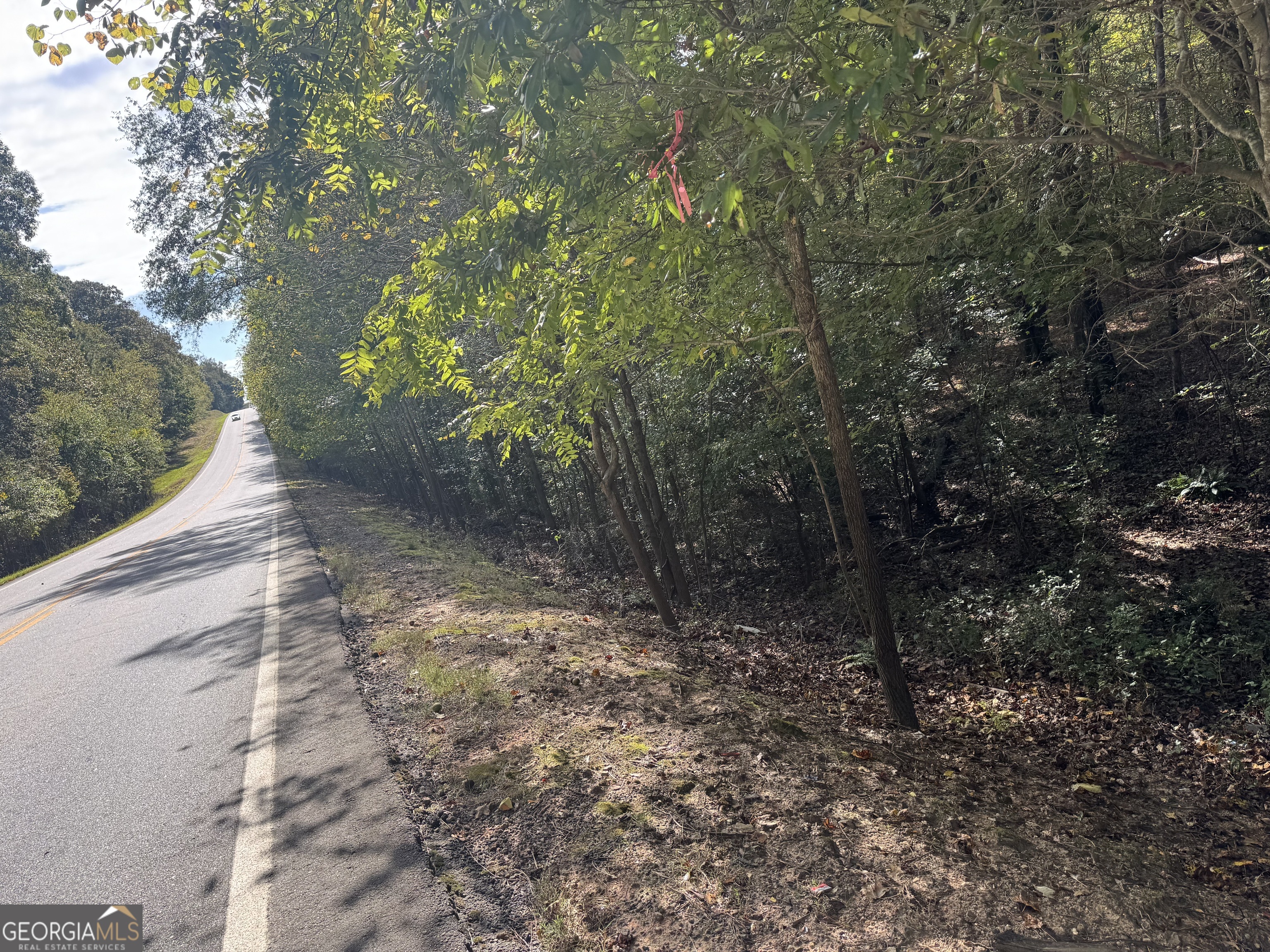 0 Ga Highway 142 # B Property Photo 21