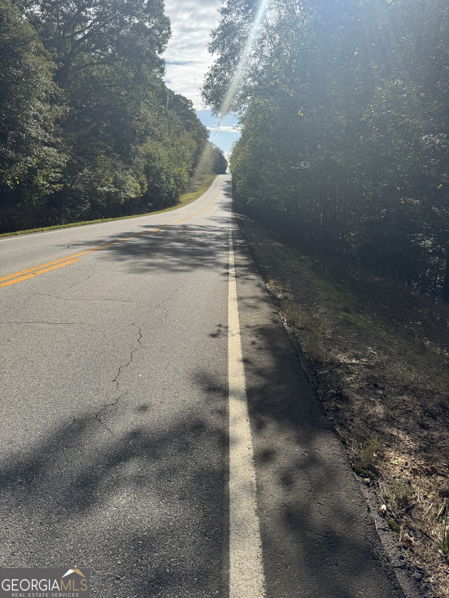 0 Ga Highway 142 # B Property Photo 22