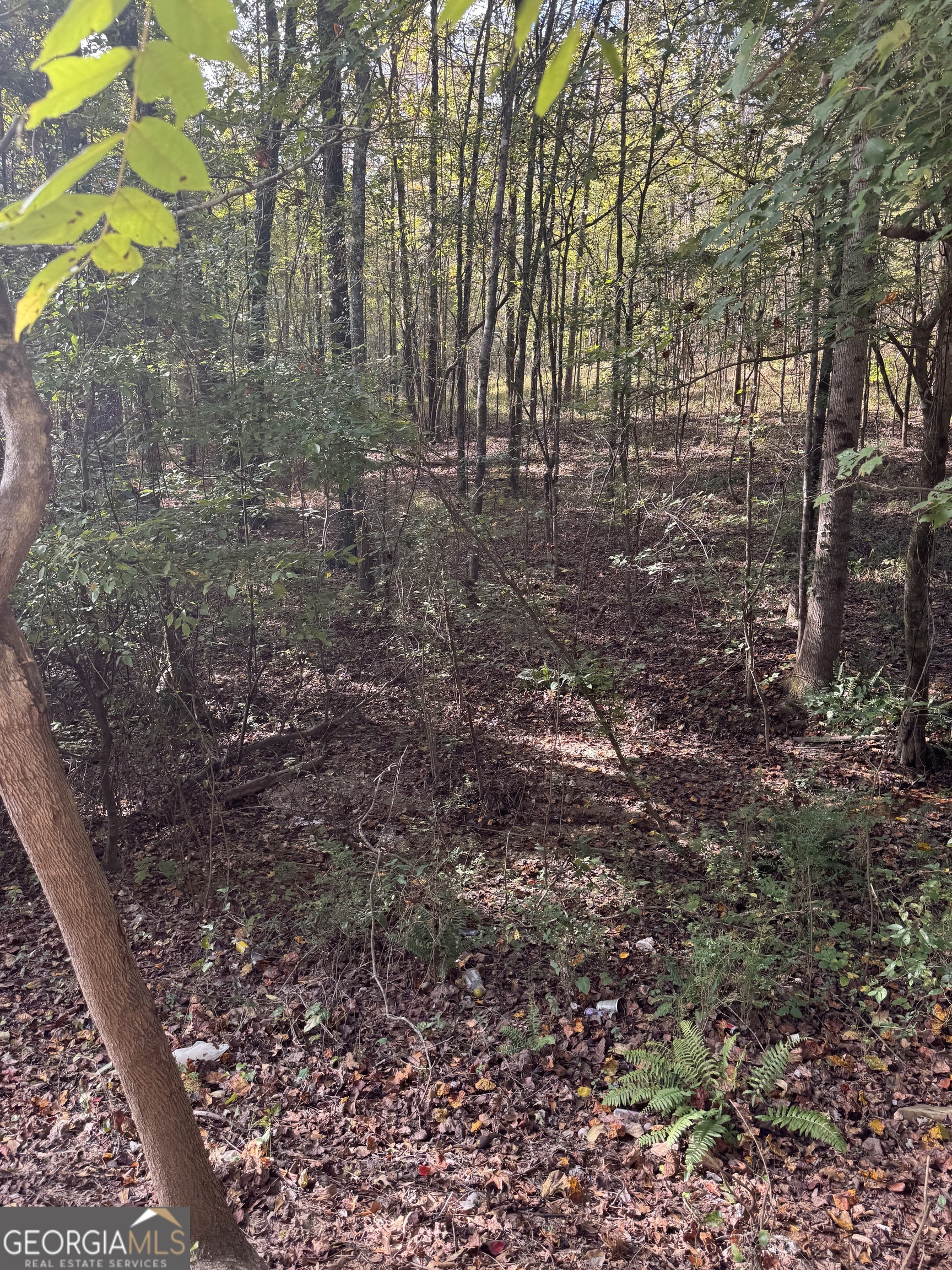 0 Ga Highway 142 # B Property Photo 23