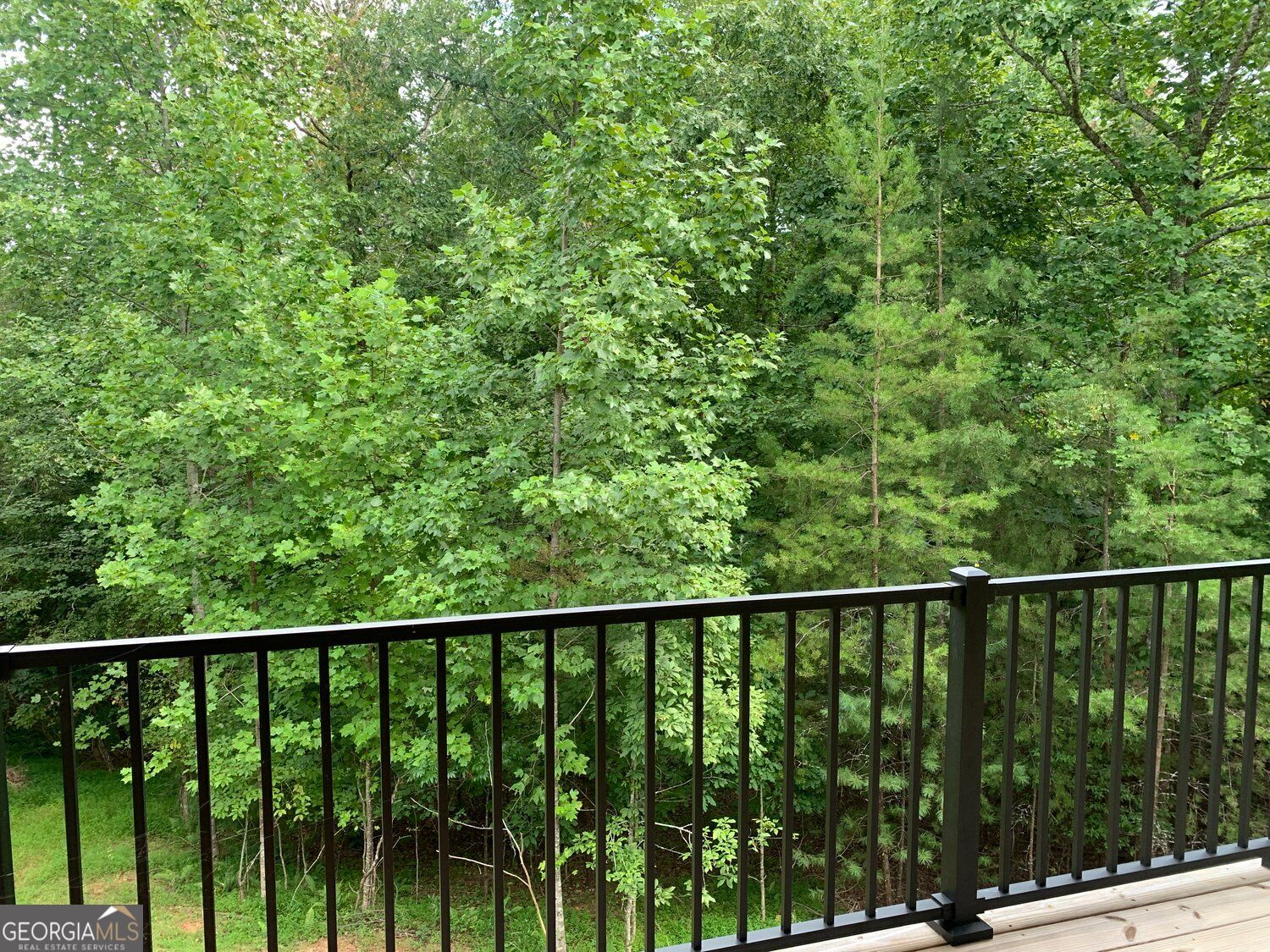 2408 Standing Meadows Drive Property Photo 51
