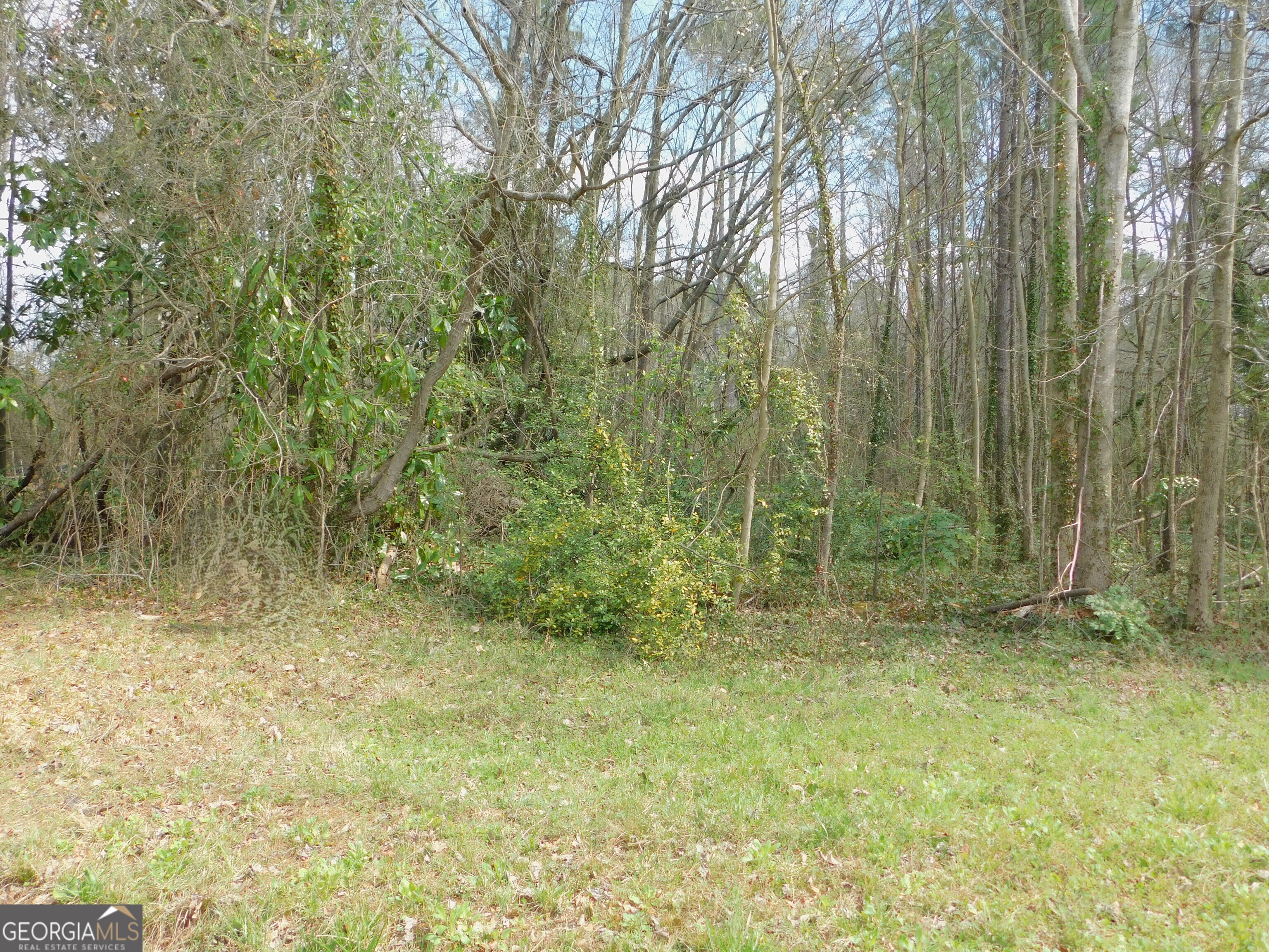 Lot 39 Herndon Boulevard Property Photo 1