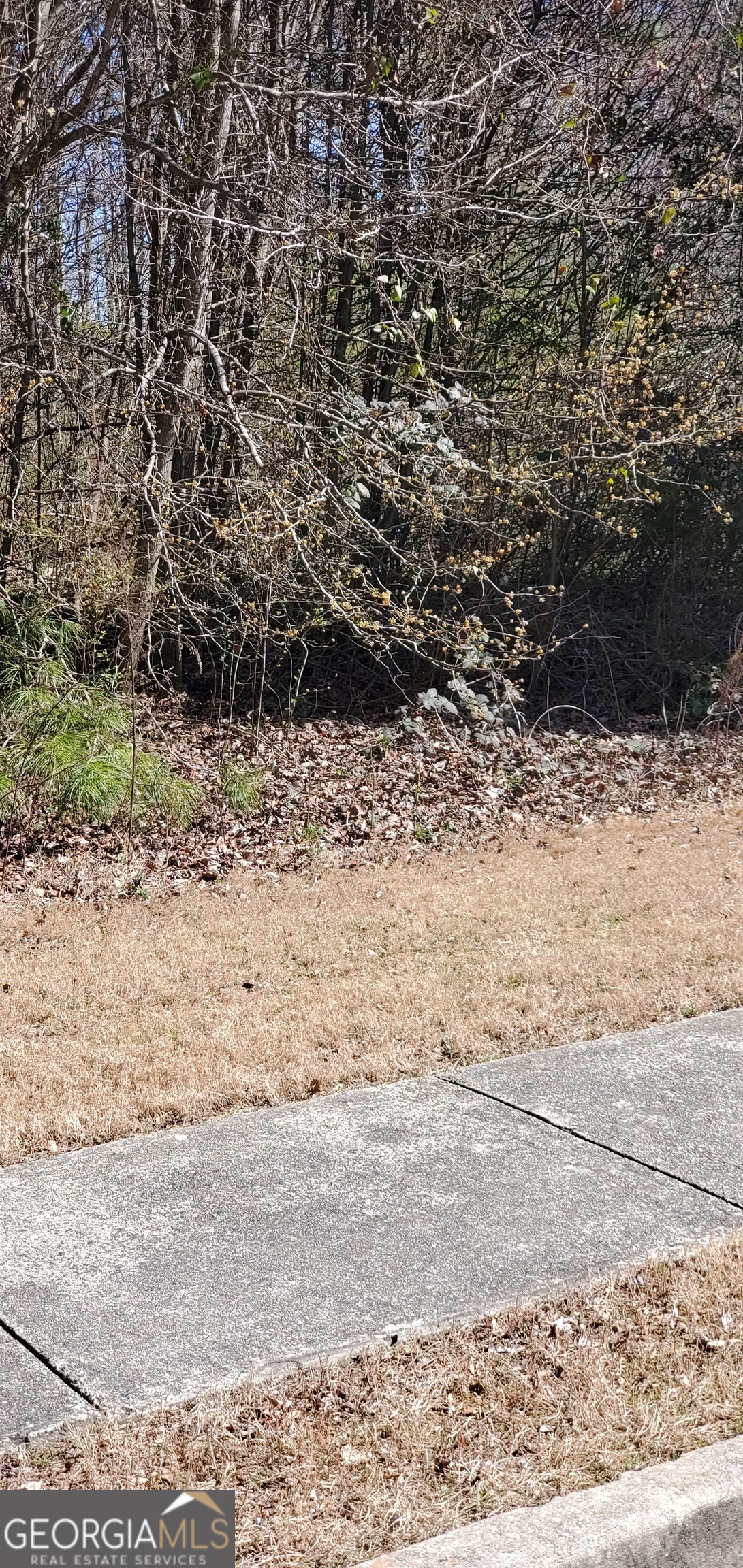 3452 Tiffany Cove Drive Property Photo 2