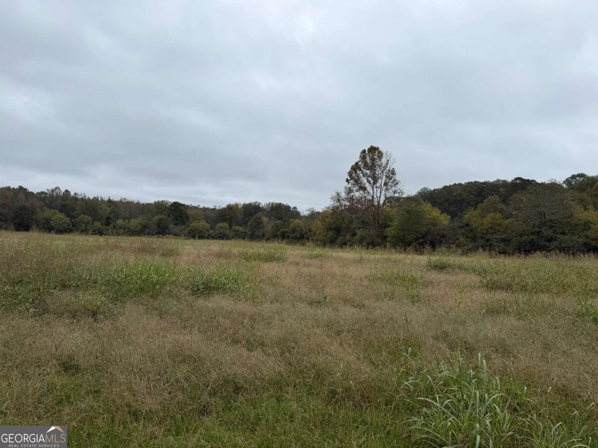 0 County Road 60 Property Photo 8
