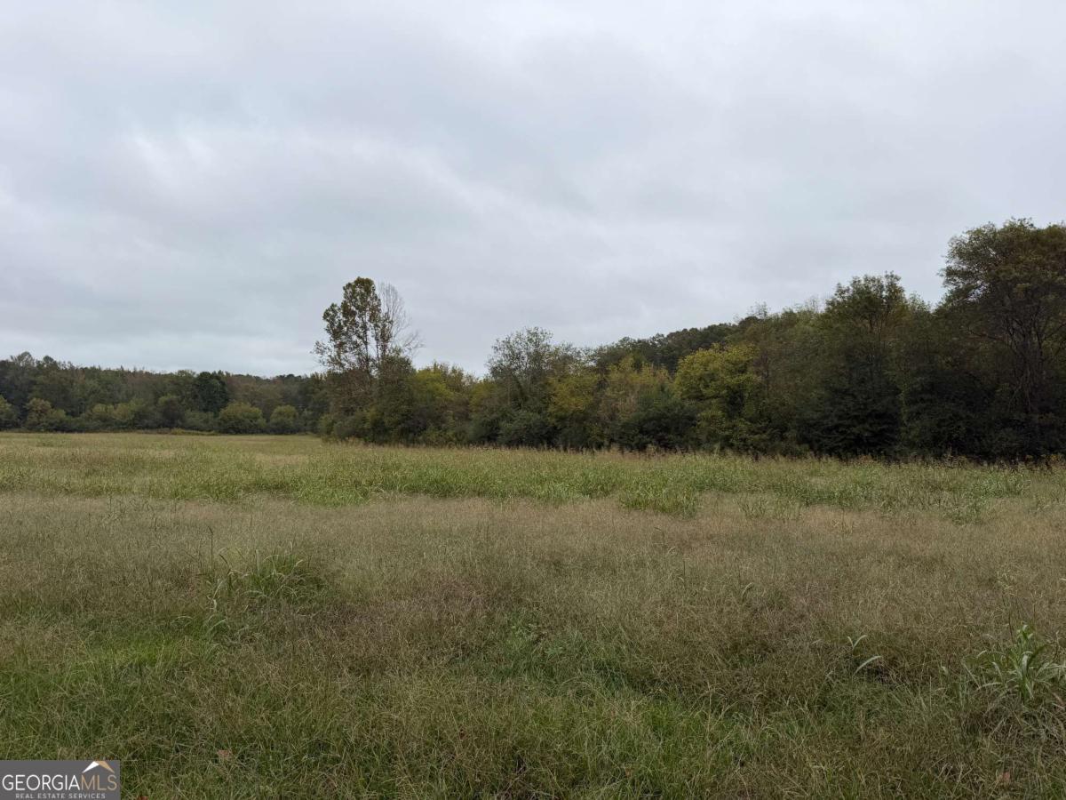 0 County Road 60 Property Photo 10
