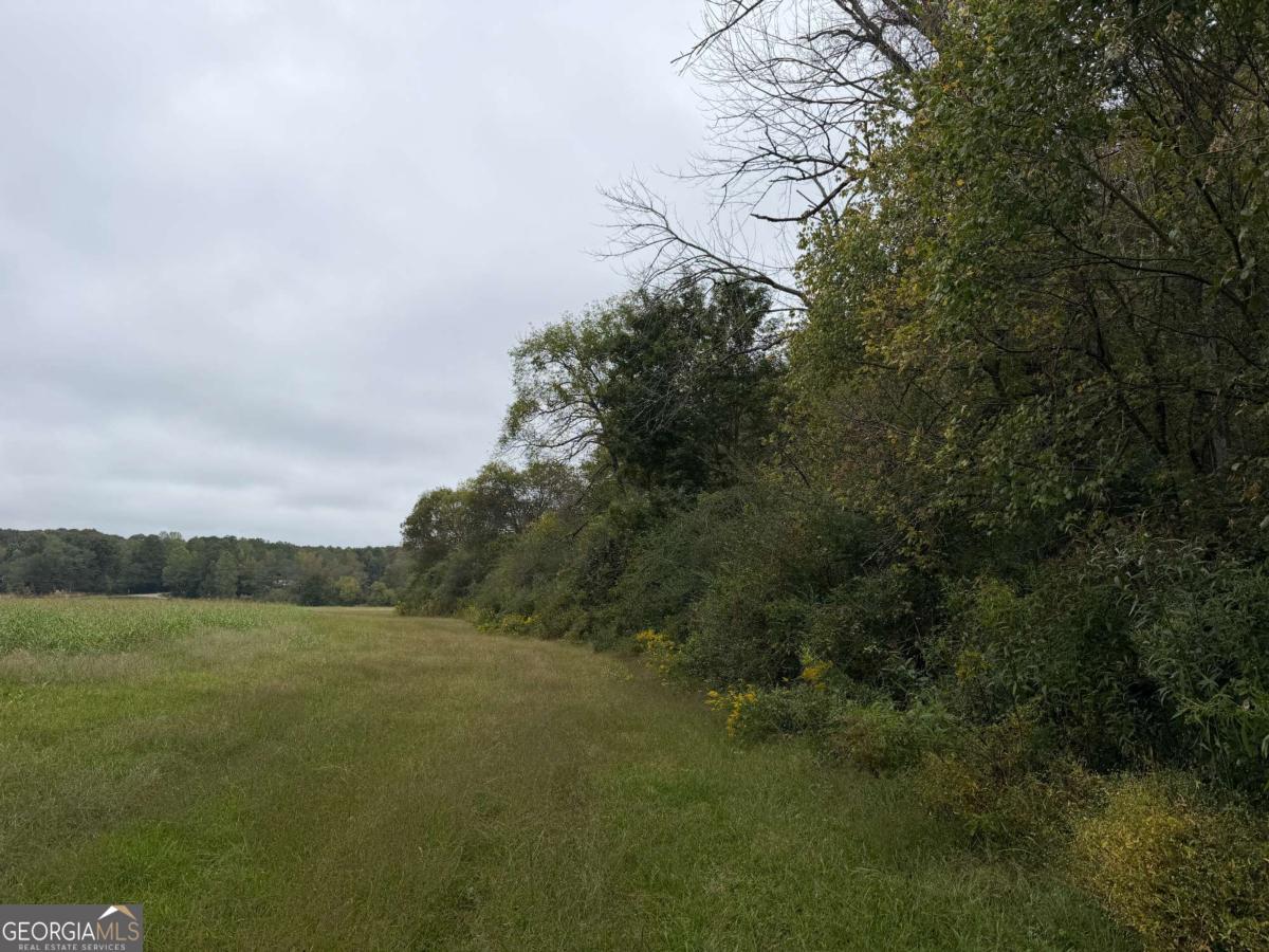 0 County Road 60 Property Photo 11
