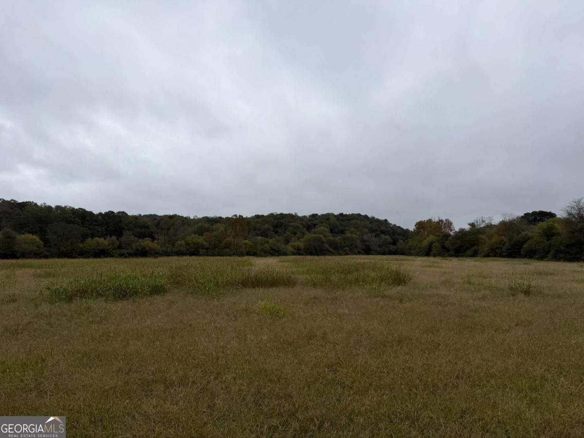 0 County Road 60 Property Photo 12