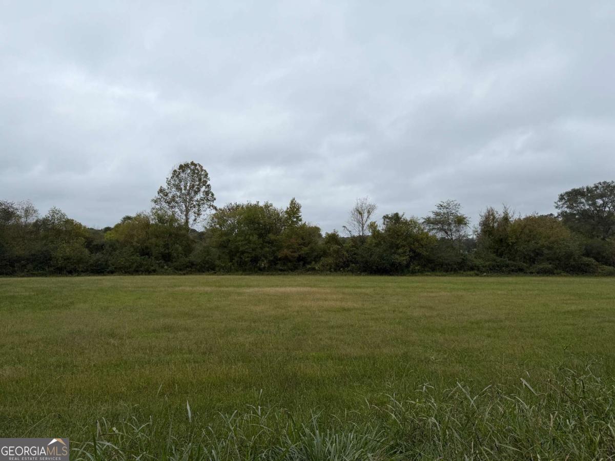 0 County Road 60 Property Photo 13
