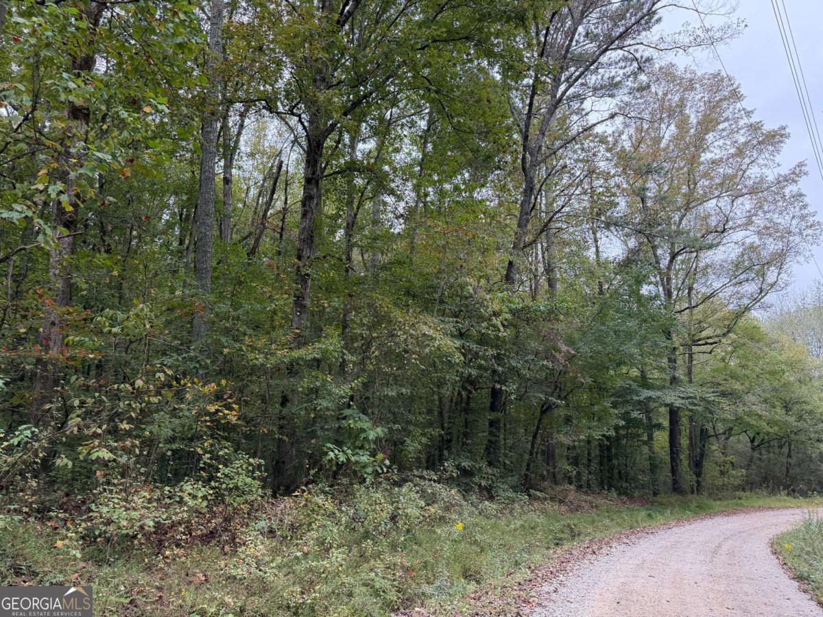 0 County Road 60 Property Photo 15