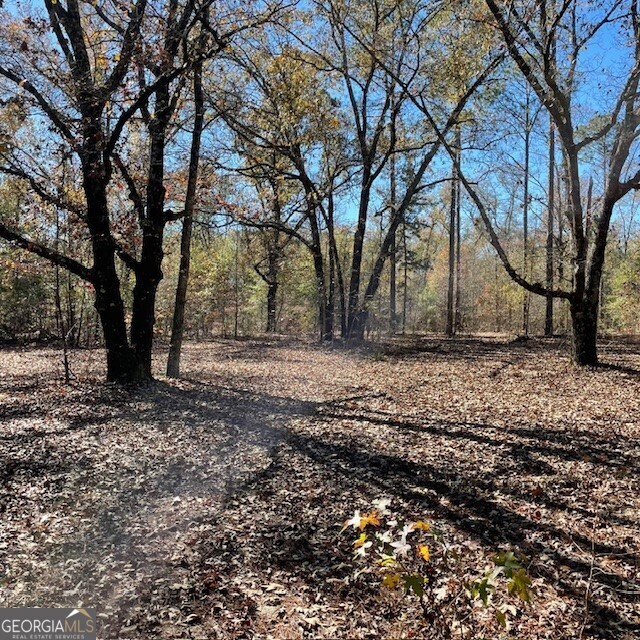 Lot A Pineville Road Property Photo 2