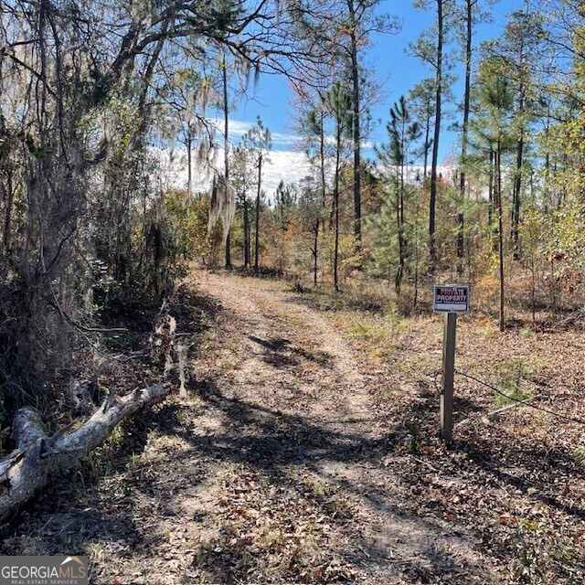 Lot A Pineville Road Property Photo 3