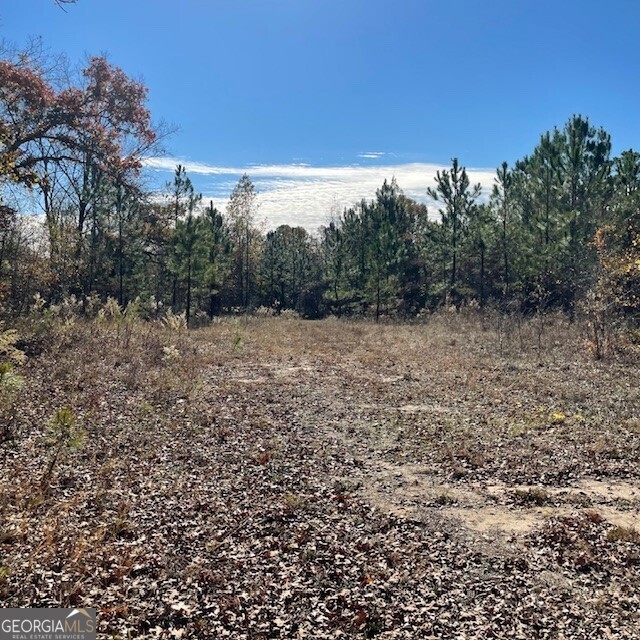 Lot A Pineville Road Property Photo 4