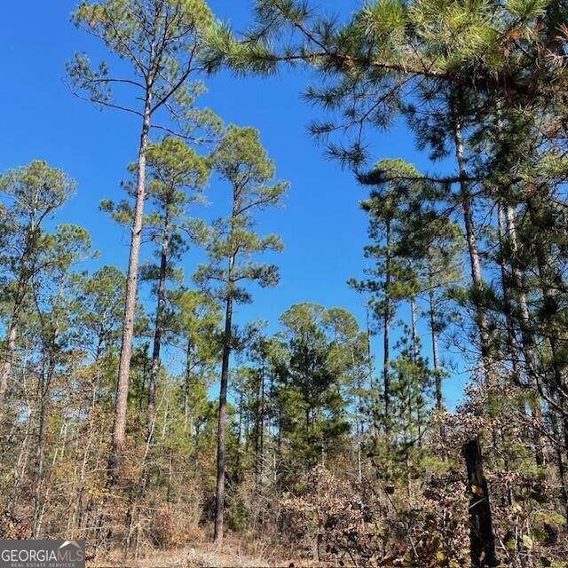 Lot A Pineville Road Property Photo 5