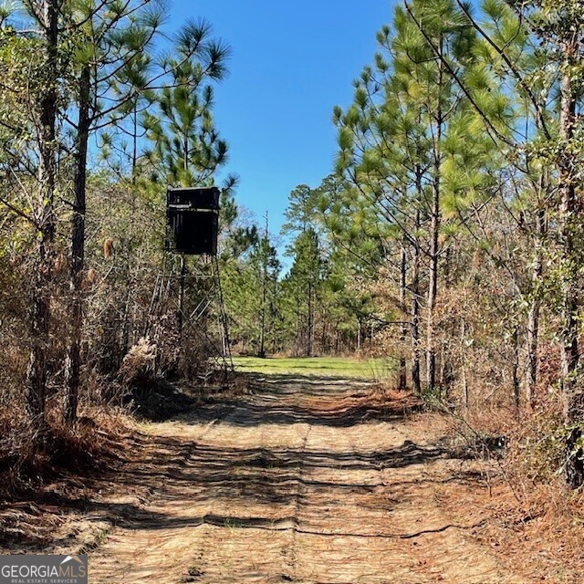 Lot A Pineville Road Property Photo 6