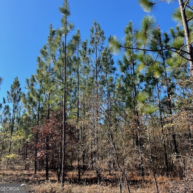 Lot A Pineville Road Property Photo 7