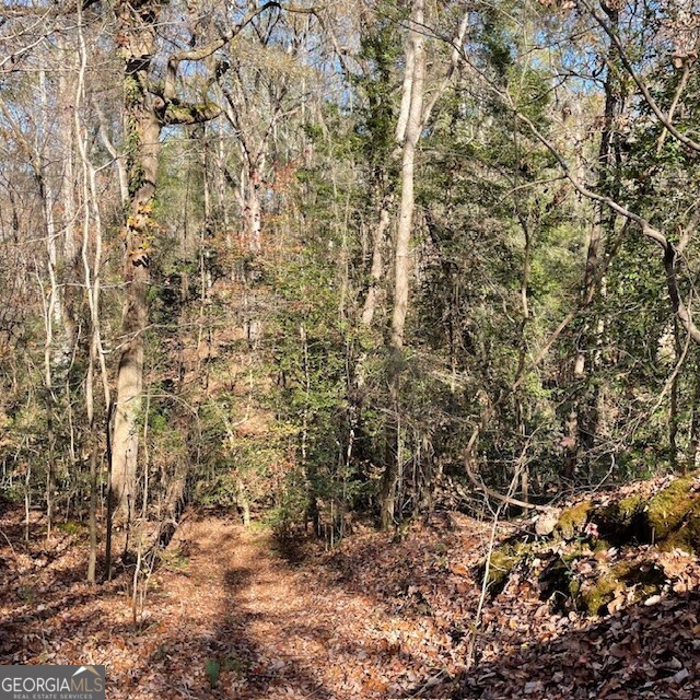 Lot A Pineville Road Property Photo 8
