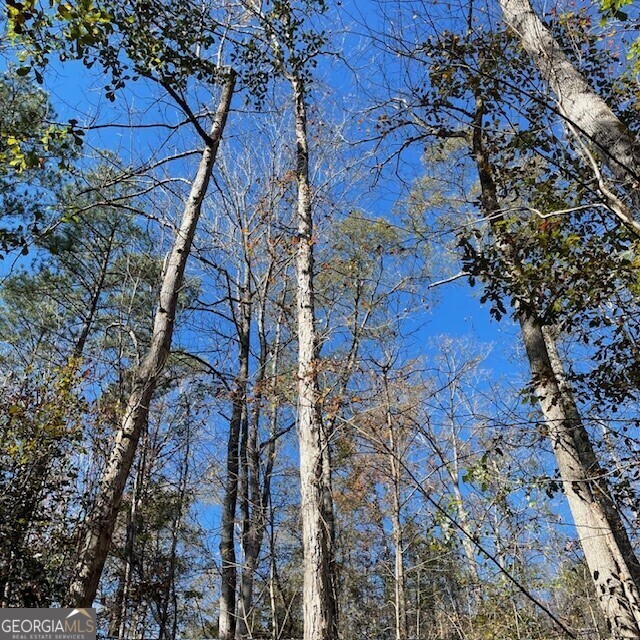 Lot B Pineville Road Property Photo 1