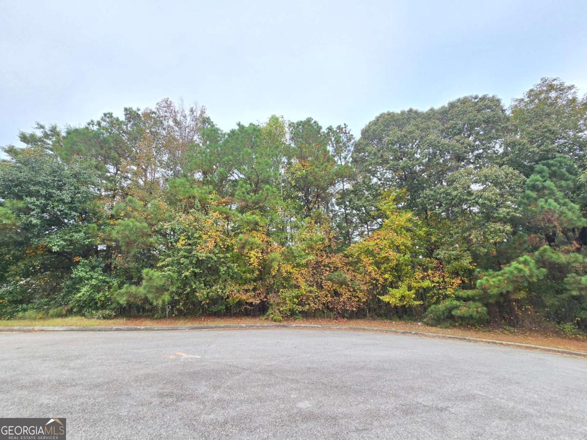 9496 River Chase Court