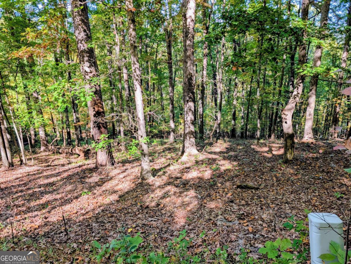 Lot 30 Rocky Knob Drive Property Photo 1
