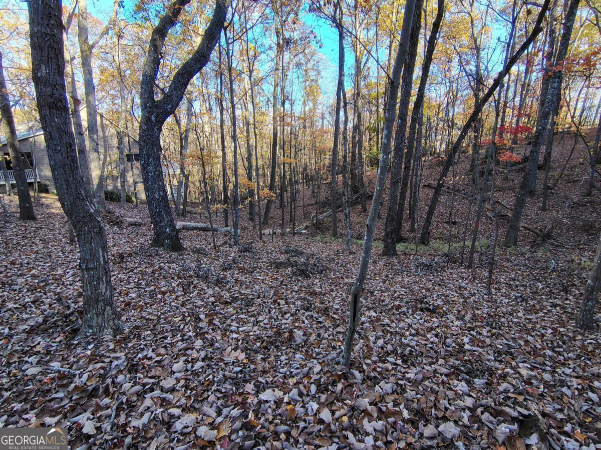 26 Chestnut Oak Point Property Photo 8