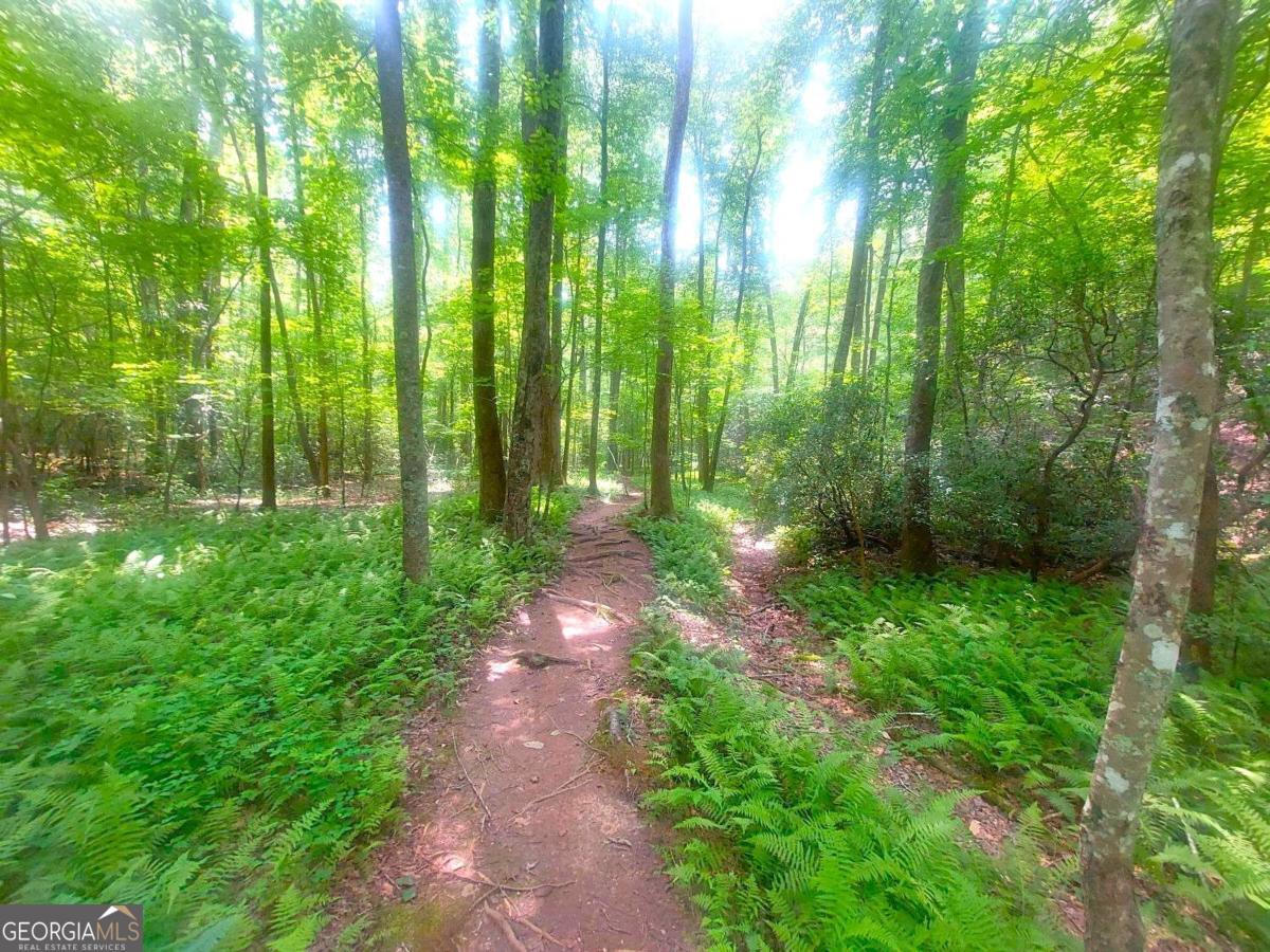 26 Chestnut Oak Point Property Photo 34