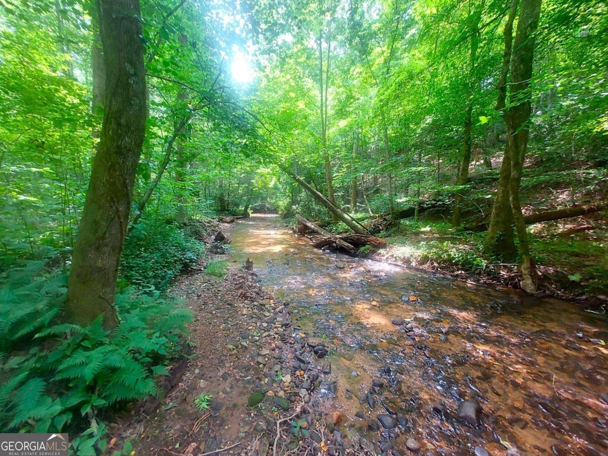 26 Chestnut Oak Point Property Photo 35