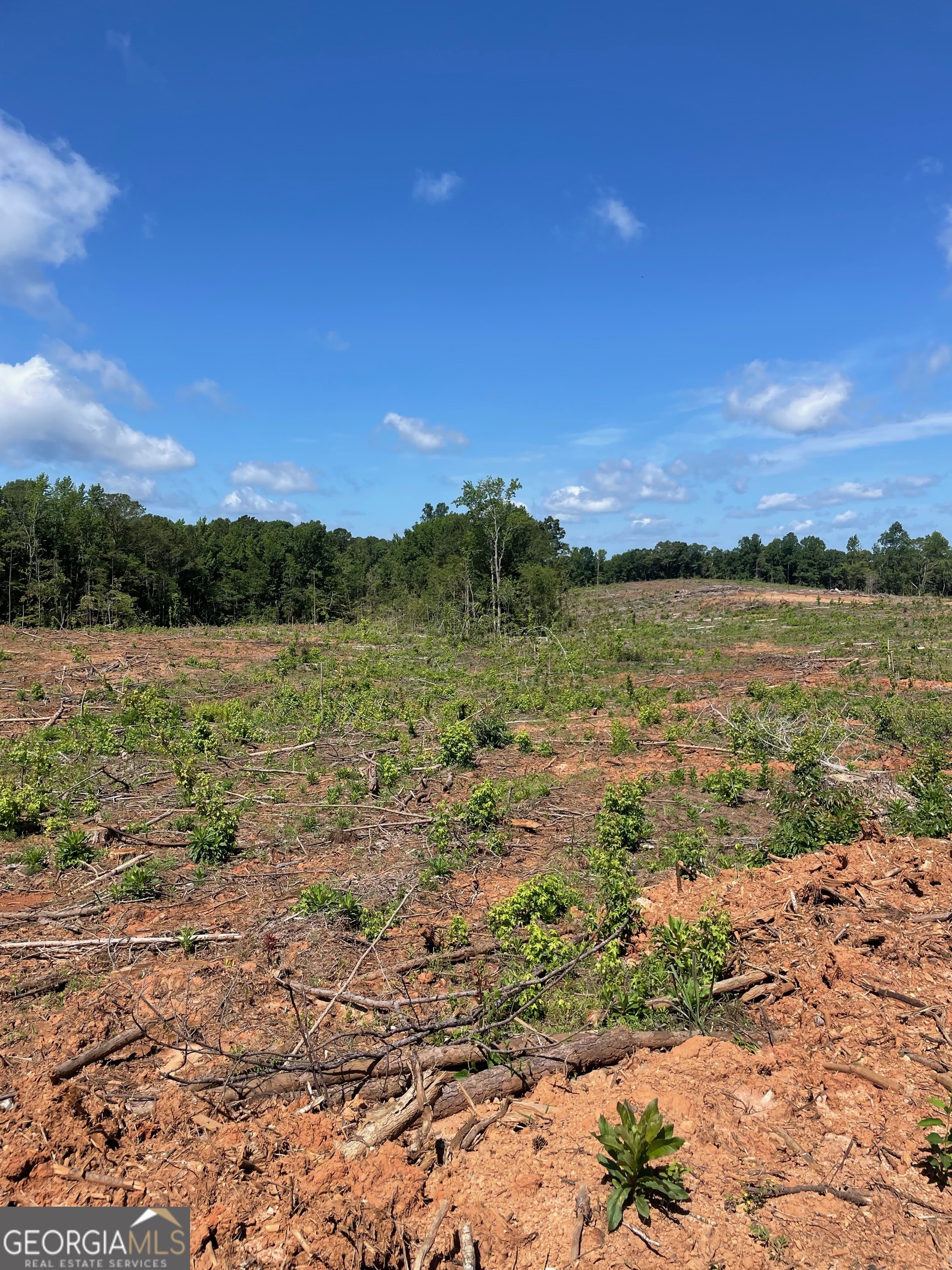 776 Allen Road Property Photo 1