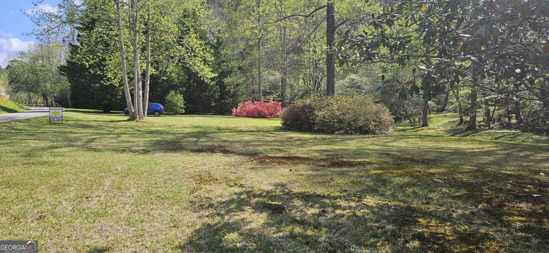 136 Ross Road Property Photo 9