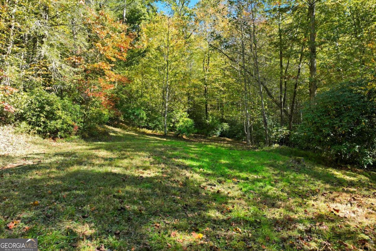 136 Ross Road Property Photo 61