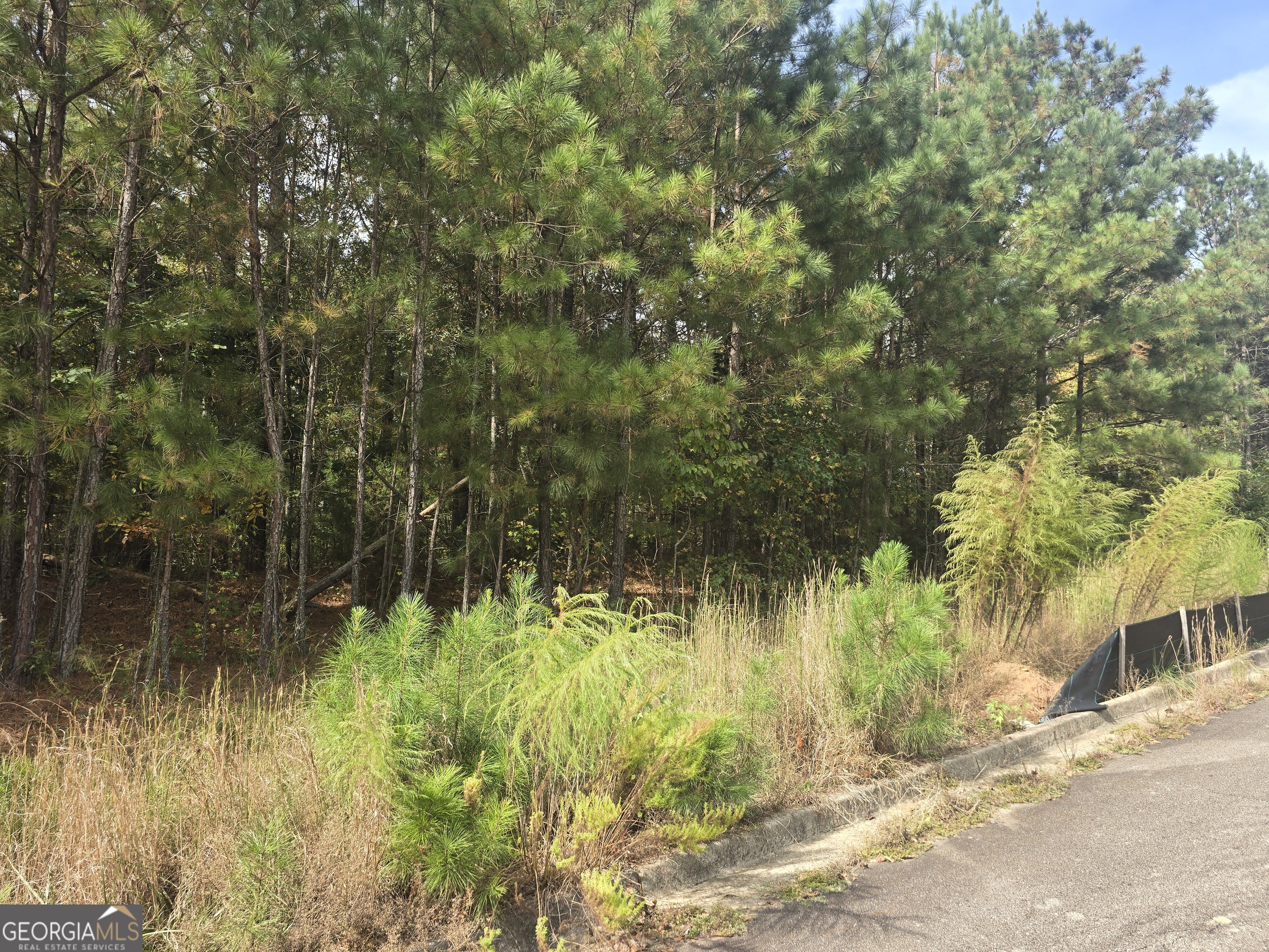 188 Belford Way Property Photo 3
