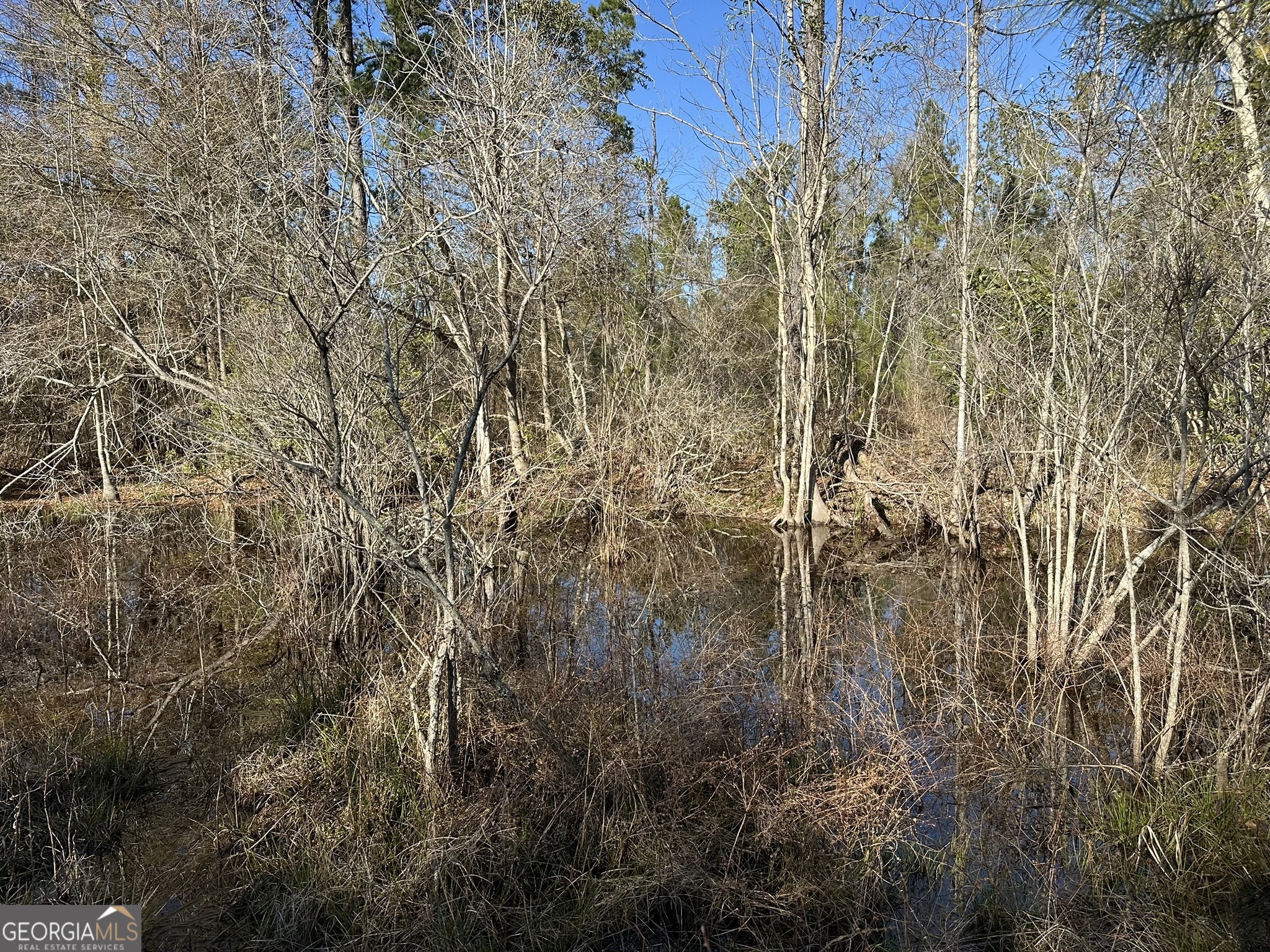 009 Mt Zion Road Property Photo 1