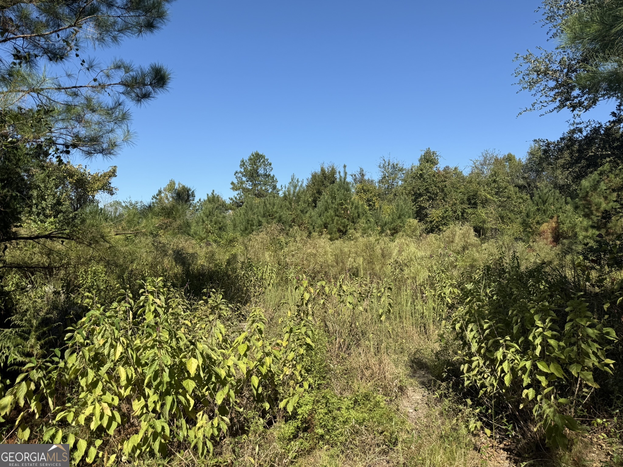 009 Mt Zion Road Property Photo 2