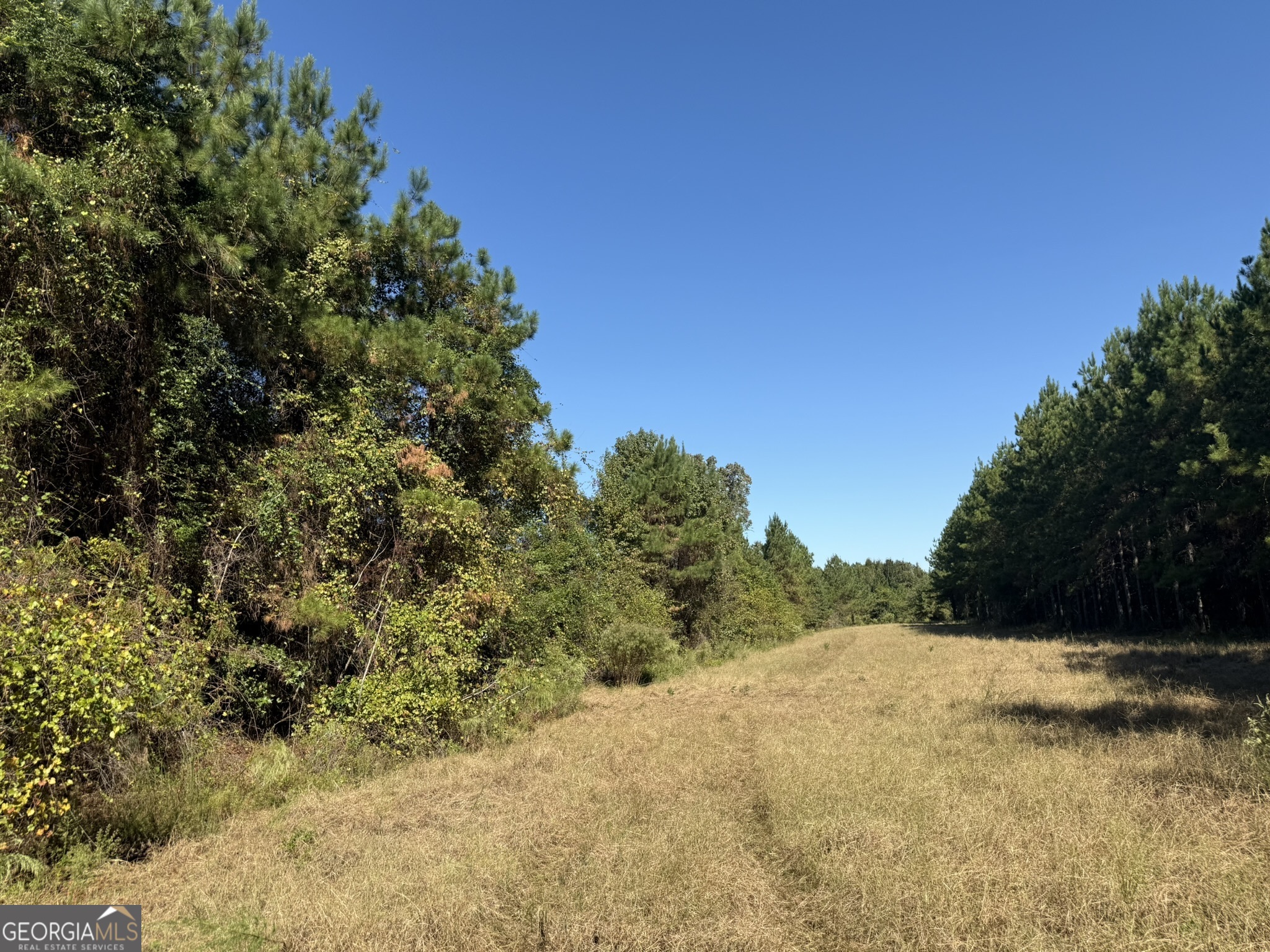 009 Mt Zion Road Property Photo 3